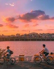 97明星水果机破解技术打法图-破解技术打法图，97明星水果机攻略