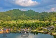 足球直播与比分-足球直播与比分，绿茵场上的数字交响曲